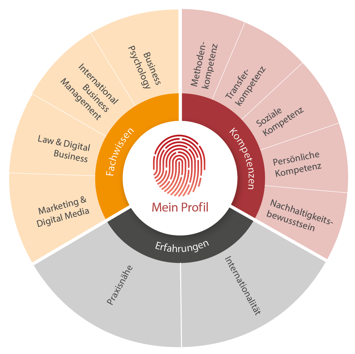Profil Studium eufom