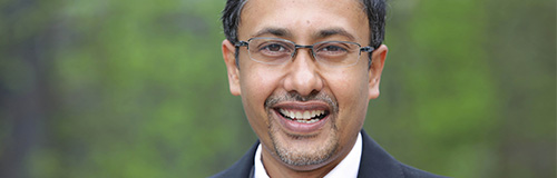 Prof. Dr. Soumit Sain